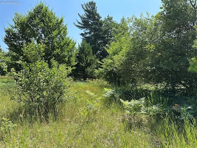 77 E Starlight Ridge Cir, Onekama Township, MI 49675 - photo 3