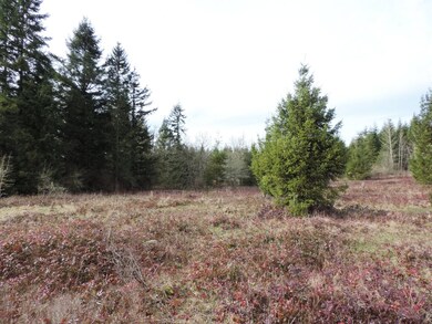 14 Brenda Ln SE, Yelm, WA 98597 - photo 5