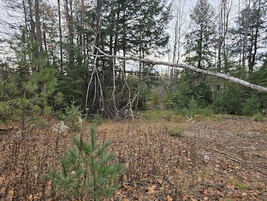 V/L 10ac Kelley Dr, Case Township, MI 49759 - photo 5