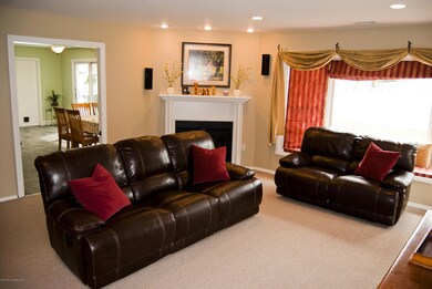 439 Line Rd Living Rm Fireplace view 022
