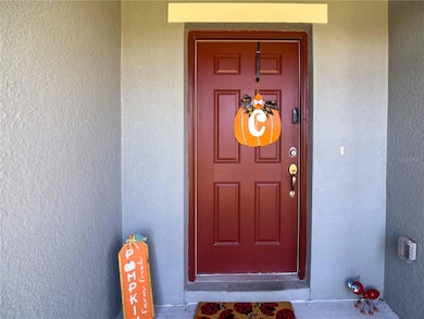 218 Zircon Rd, Kissimmee, FL 34758 - photo 4