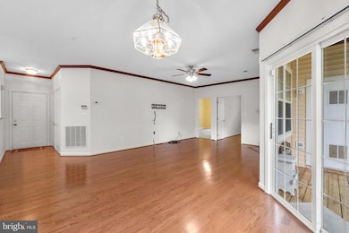 5004 Willow Branch Way, Owings Mills, MD 21117 - photo 7