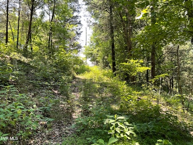 TBD Needles Way, Sevierville, TN 37876 - photo 5