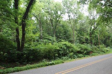 V/L Weaver Rd, Niles, MI 49120 - photo 2