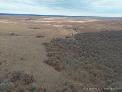 0003 County Road 2145, Bartlesville, OK 74003 - photo 4