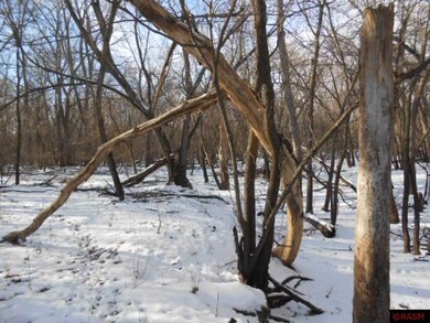 0 W 1st St unit 7004164, Blue Earth, MN 56013 - photo 5