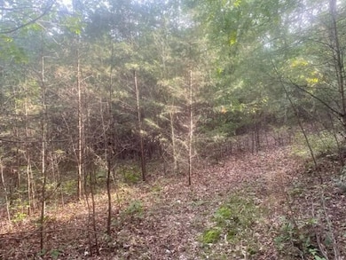 3 Countryside Dr, Dunlap, TN 37327 - photo 6