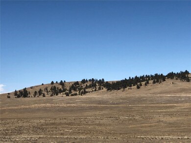 121 Commanche Trail, Hartsel, CO 80449 - photo 7