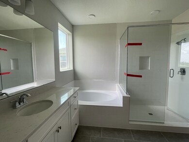 Owners Bathroom