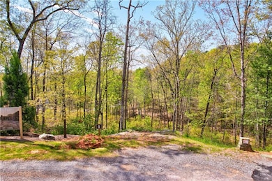 View of road with a view of trees