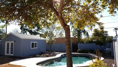 Backyard 1
