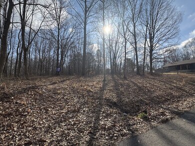 0 Crestview Dr unit 133145, Bumpus Mills, TN 37028 - photo 2