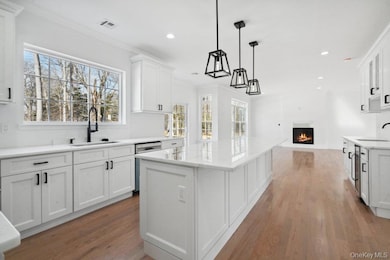 Kitchen featuring a warm lit fireplace, visible vents, a sink, and crown molding