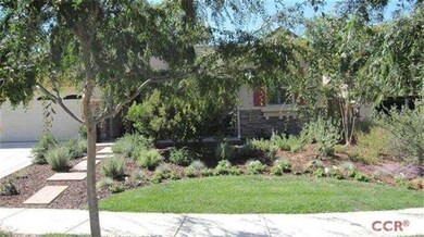 Lush easy care landscaping