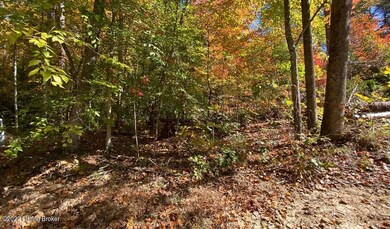 River View Fall90