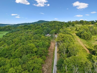 21 Vantrease Rd, Brush Creek, TN 38547 - photo 4