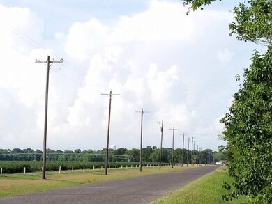 3779 Cr 106 (Skelly Rd), Bay City, TX 77414 - photo 5