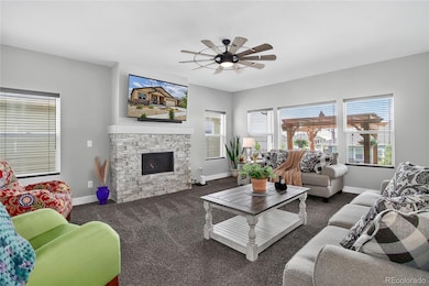 6687 Rolling Creek Dr, Colorado Springs, CO 80924 - photo 7