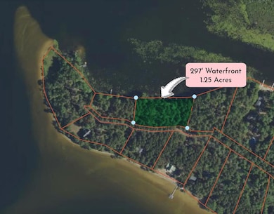 TBD Whitetail Trail unit Lots 13, 14, & 15, Beaver Island, MI 49782 - photo 5