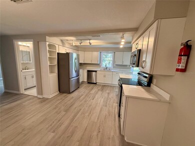 13340 Lewis Gallagher Rd, Dover, FL 33527 - photo 7