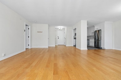 Imperial Towers unit 203, Chestnut Hill, MA 02467 - photo 7
