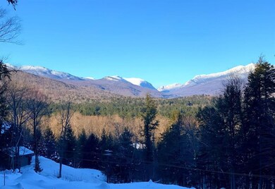 36 Partridge Dr, Woodstock, NH 03262 - photo 4