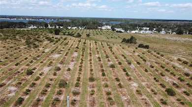 3200 Power Line Rd, Avon Park, FL 33825 - photo 3