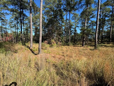 061 Private Road 6028, Brookeland, TX 75931 - photo 7