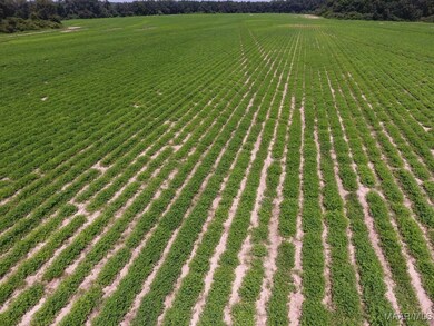 0 Chamblee Rd unit 552298, Kinston, AL 36453 - photo 7