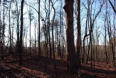 DSC_0300 (1024x685)