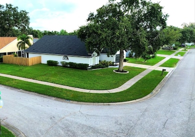 28739 Raleigh Place, Wesley Chapel, FL 33545 - photo 4