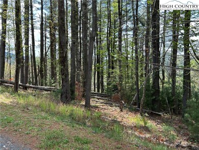 TBD New River Overlook (Lot 11), West Jefferson, NC 28694 - photo 6
