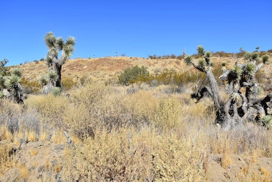 8100 Weber Ranch Rd, Palmdale, CA 93550 - photo 5