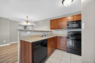 9100 Spring Creek Ln, O Fallon, MO 63368 - photo 7