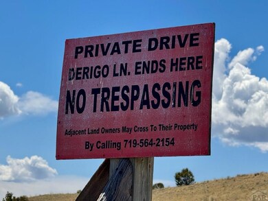 TBD Derigo Ln, Westcliffe, CO 81252 - photo 6