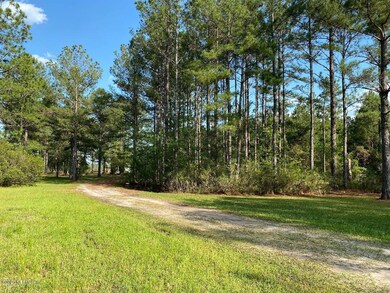 46723 Middle Rd, Callahan, FL 32011 - photo 6