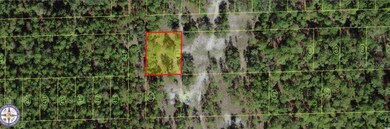 0 18th Ave unit MFRO6150818, Saint Cloud, FL 34771 - photo 5