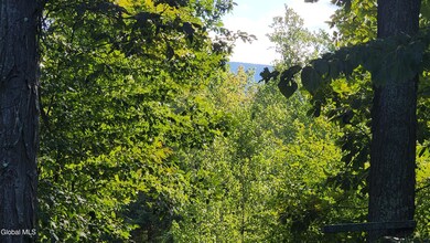 201 Edison Timmerman Rd, Cairo, NY 12413 - photo 4