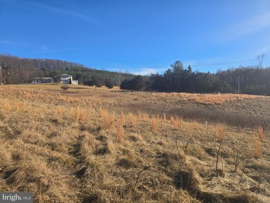 0 Spielman Rd unit WVMO2005576, Berkeley Springs, WV 25411 - photo 6