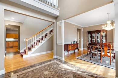 749 Elmgate Dr, Glenview, IL 60025 - photo 3