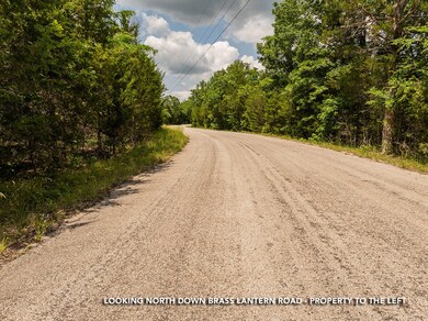 000 Brass Lantern Rd, Cedar Creek Township, MO 65627 - photo 6