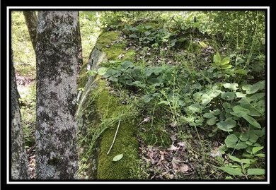 0 Old Union Rd unit 222021550, Ironton, OH 45638 - photo 7