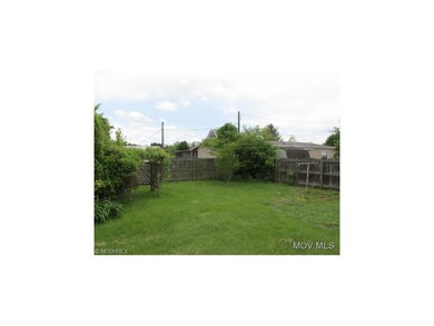 Back yard