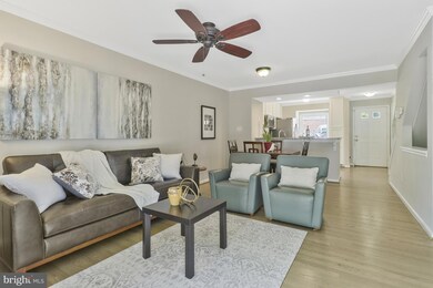 5012 9th St S, Arlington, VA 22204 - photo 4