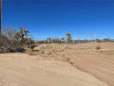 3884 Indio Ave, Yucca Valley, CA 92284 - photo 5