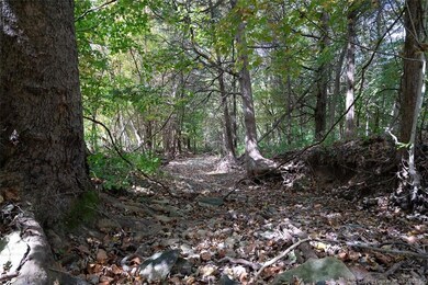 Tract 4 - Cooks Mill Rd, Georgetown Township, IN 47122 - photo 6