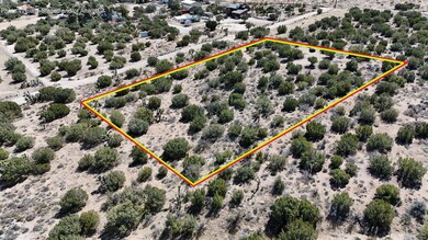 E 06. DJI_20250323122852_0098_D