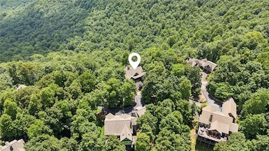 Bird's eye view of a forest
