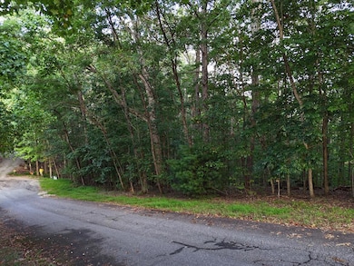 L 48C Byron St, Blairsville, GA 30512 - photo 3