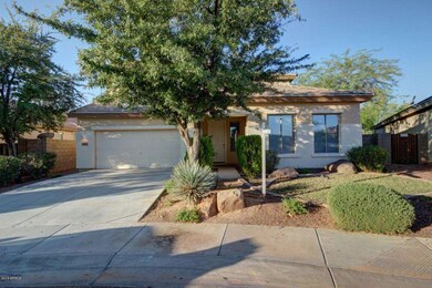 0049-OcotilloExt (3)
